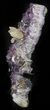 Amethyst Crystal Cluster With Quartz Spray - Metal Stand #63007-1